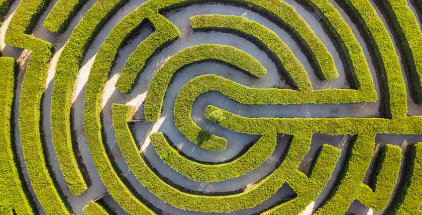 hedge labyrinth